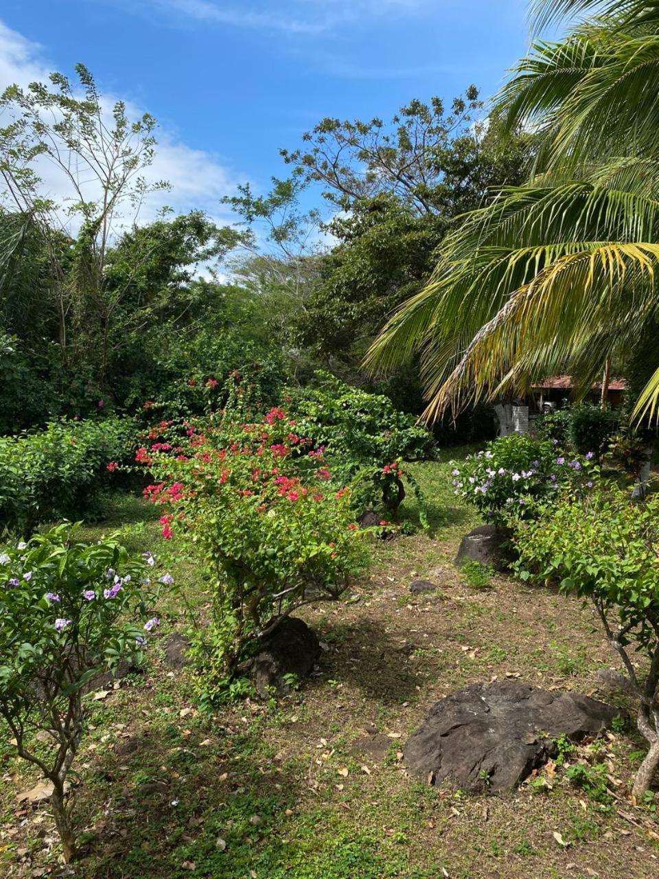 Finca Montana Sagrada Merida Ngoại thất bức ảnh
