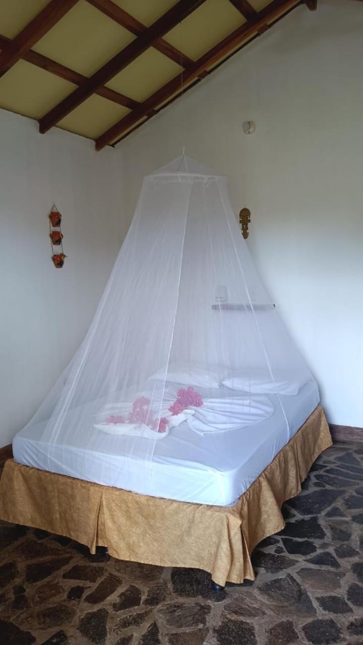Finca Montana Sagrada Merida Ngoại thất bức ảnh
