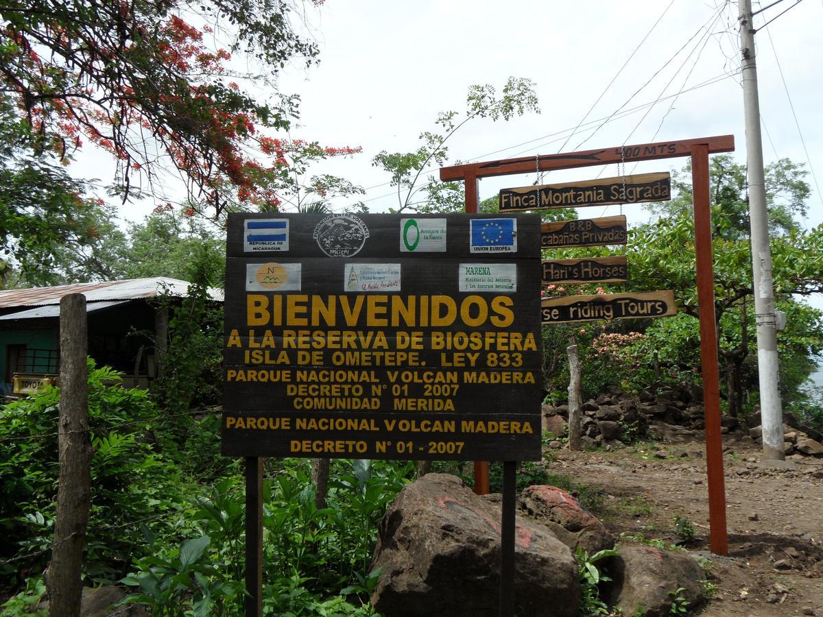 Finca Montana Sagrada Merida Ngoại thất bức ảnh