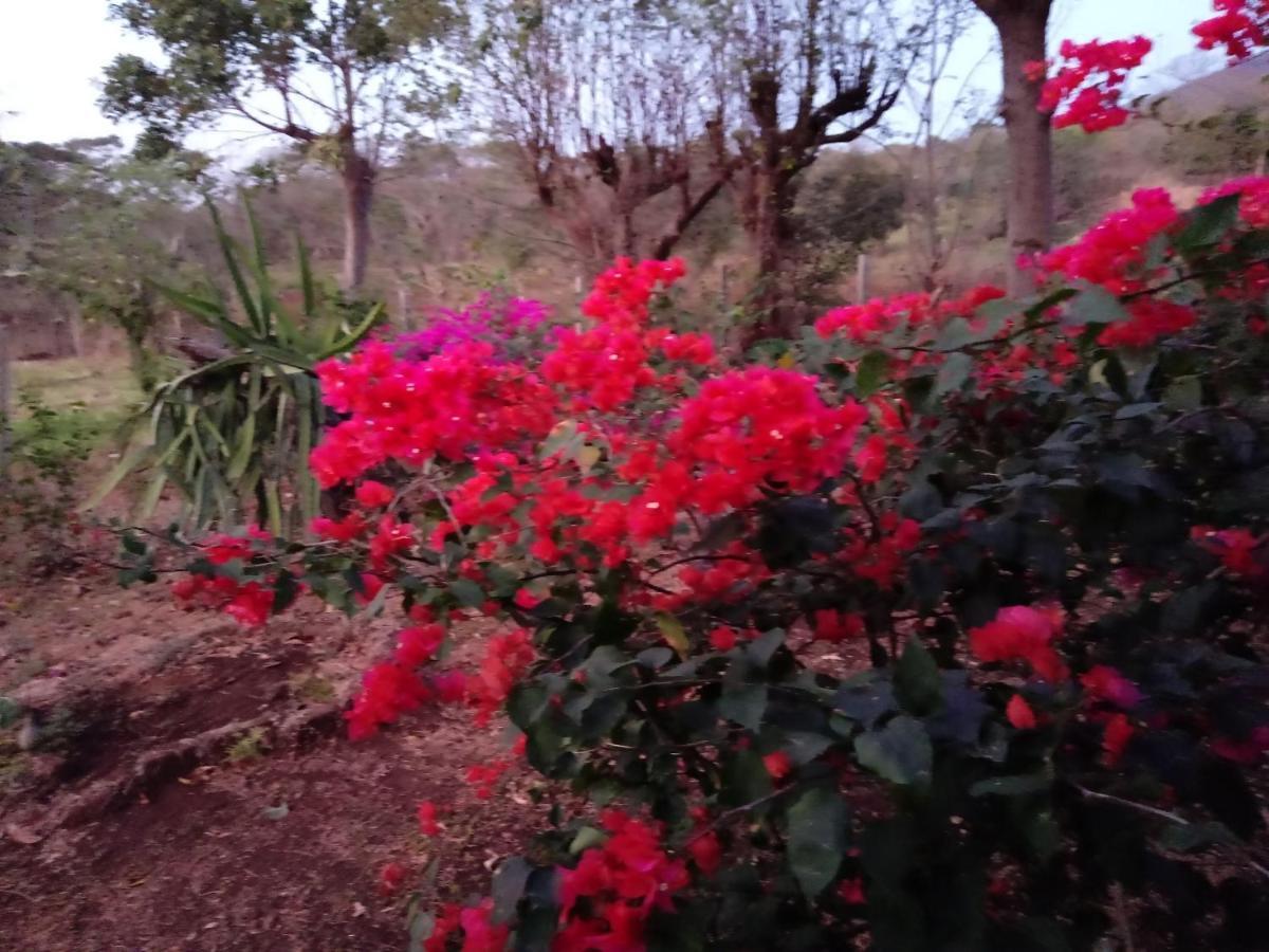 Finca Montana Sagrada Merida Ngoại thất bức ảnh