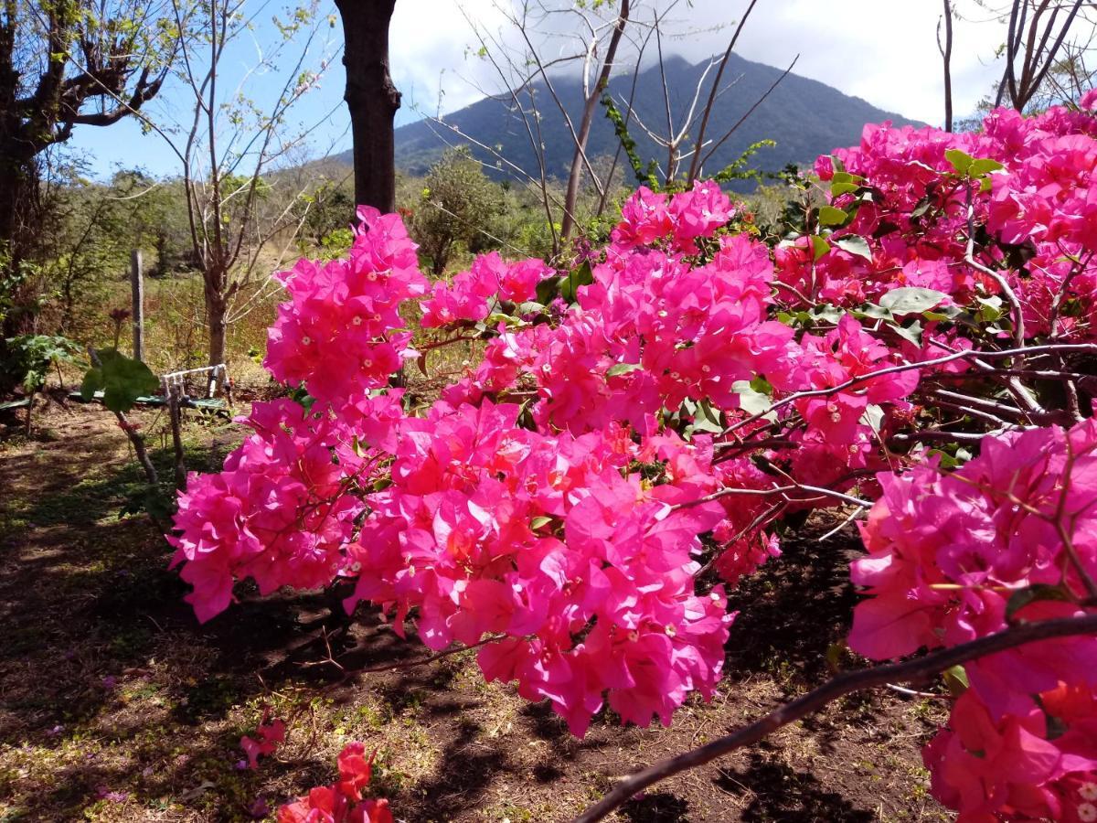 Finca Montana Sagrada Merida Ngoại thất bức ảnh