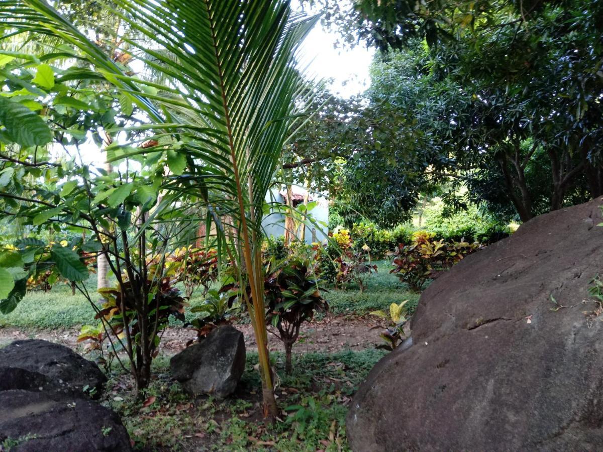 Finca Montana Sagrada Merida Ngoại thất bức ảnh